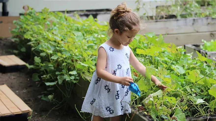 Kleines Mädchen gießt Pflanzen in einem Hochbeetgarten – Symbol für Nachhaltigkeit, Verantwortung und familienfreundliches Wohnen im Kontext der Mietkautionsversicherung.